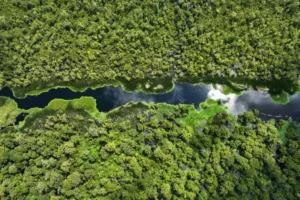 beneath-the-surface-indonesias-high-stakes-battle-against-peatland-fires-in-an-era-of-el-nino