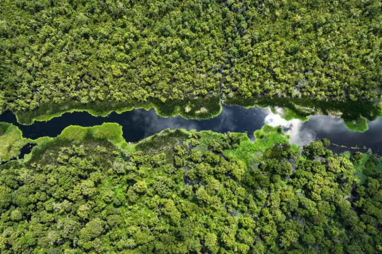 beneath-the-surface-indonesias-high-stakes-battle-against-peatland-fires-in-an-era-of-el-nino
