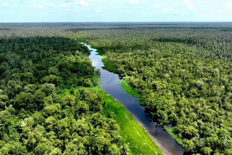 beyond-technical-tweaks-sumatras-civil-society-demands-a-paradigm-shift-in-forestry-law