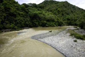 ecological-crisis-in-aceh-illegal-gold-mining-ravages-the-jantho-nature-reserve