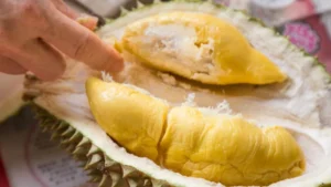 from-barrister-to-botanist-the-unconventional-career-shift-of-a-london-educated-durian-farmer