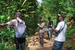 guardians-of-the-menoreh-how-local-communities-are-saving-the-endangered-hill-blue-flycatcher