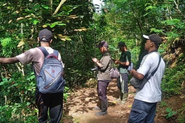 guardians-of-the-menoreh-how-local-communities-are-saving-the-endangered-hill-blue-flycatcher