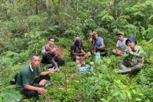 guardians-of-the-menoreh-how-village-communities-are-rescuing-javas-avian-treasures