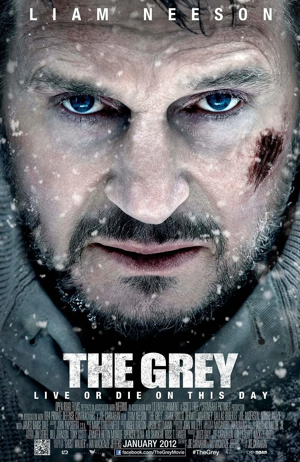 mastering-the-wild-kapanlagi-com-unveils-27-gripping-survival-films-that-challenge-the-human-spirit