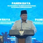 president-prabowo-challenges-critics-of-rice-prices-to-experience-farming-firsthand