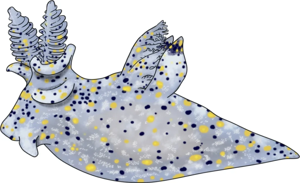 the-tiny-titan-how-a-grain-sized-sea-slug-is-rewriting-marine-biodiversity-records