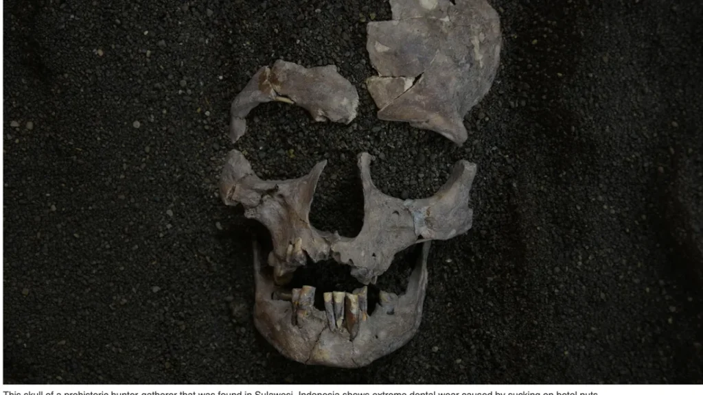 ancient-roots-of-habitual-use-sulawesi-discovery-rewrites-history-of-human-addiction-and-pain-management