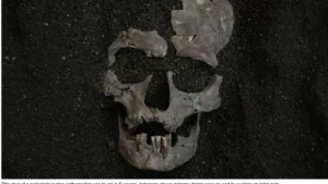 ancient-roots-of-habitual-use-sulawesi-discovery-rewrites-history-of-human-addiction-and-pain-management