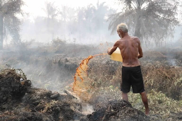 beneath-a-choking-veil-the-escalating-crisis-of-indonesias-2026-wildfires