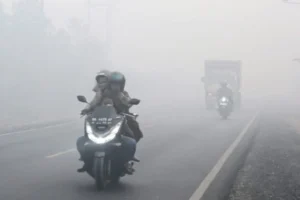beneath-the-smog-the-escalating-human-and-ecological-crisis-of-indonesias-forest-fires