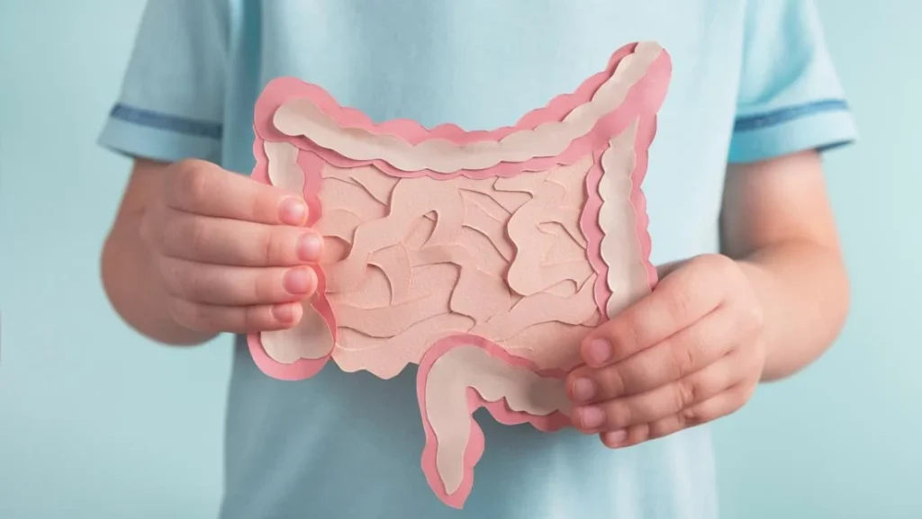 digestive-wellness-decoded-7-science-backed-foods-and-beverages-to-naturally-cleanse-and-regulate-your-bowels
