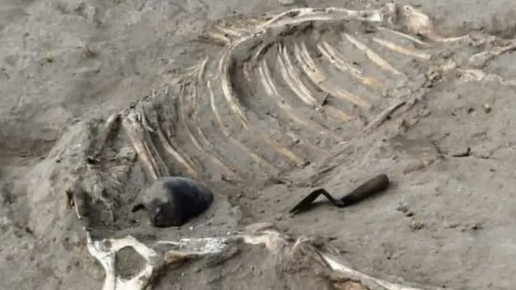 echoes-of-the-empire-remarkable-military-and-cultural-discoveries-uncovered-at-tell-al-abqain