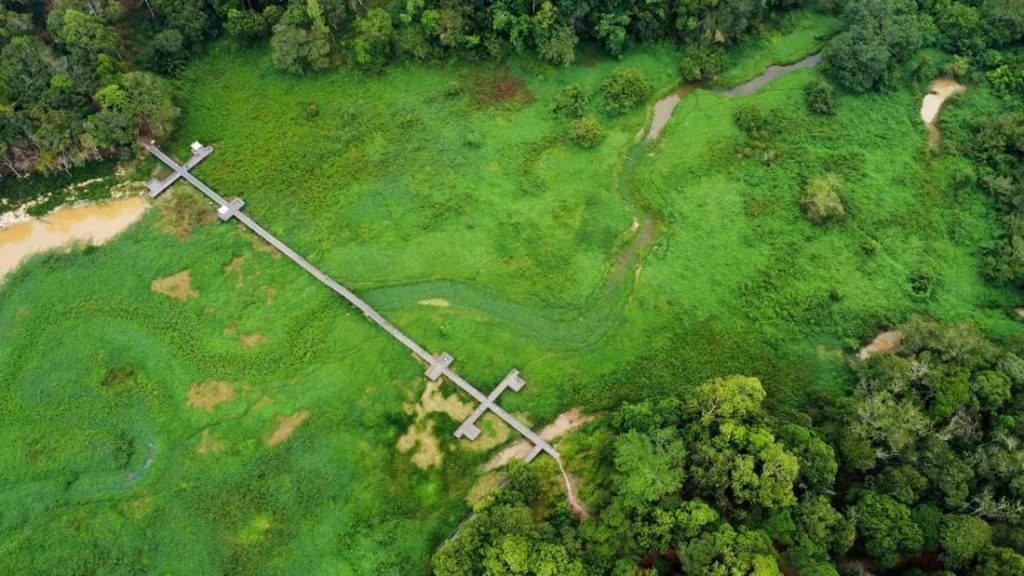 ecological-crisis-at-waduk-manggar-invasive-weeds-threaten-balikpapans-vital-water-reservoir-and-tourism-hub