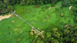 ecological-crisis-at-waduk-manggar-invasive-weeds-threaten-balikpapans-vital-water-reservoir-and-tourism-hub