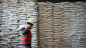 indonesia-secures-4-8-million-tons-of-rice-supply-ensuring-national-food-security-through-year-end
