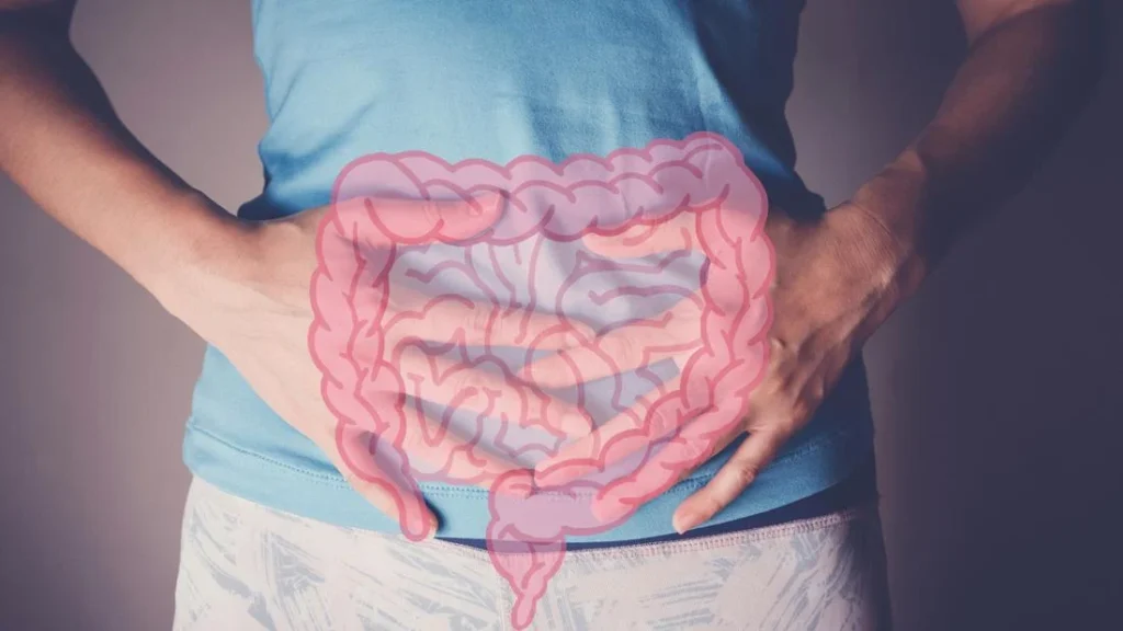 navigating-the-modern-gut-a-comprehensive-analysis-of-ultra-processed-foods-and-gastrointestinal-health
