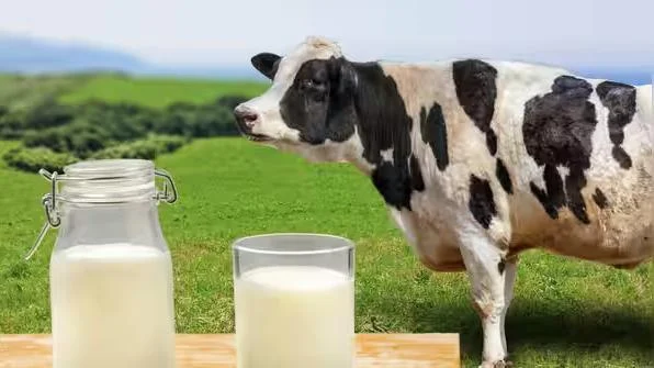 nutritional-powerhouse-unlocking-the-5-transformative-health-benefits-of-daily-milk-consumption