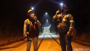 pt-freeport-indonesia-projects-state-revenue-to-surge-past-8-billion-by-2028-driven-by-production-recovery-and-high-commodity-prices