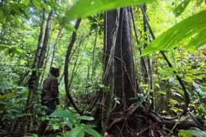 reclaiming-the-earth-why-the-future-of-conservation-must-shift-from-fortress-to-people