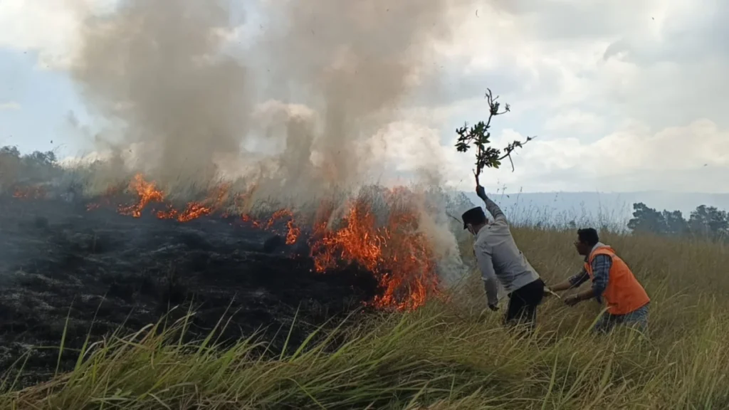 the-carbon-crisis-how-indonesias-massive-wildfires-are-sabotaging-global-climate-targets