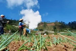 the-shadow-over-mount-ungaran-local-resistance-mounts-as-geothermal-ambitions-clash-with-sustainability