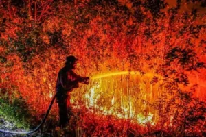 the-silent-suffocation-kalimantans-escalating-forest-fire-crisis-and-the-fight-for-accountability