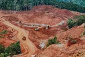 transparency-triumph-court-upholds-public-right-to-access-nickel-mining-revocation-documents-in-raja-ampat
