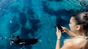 unearthing-atokos-the-rise-of-greeces-secret-pig-beach-and-its-journey-to-viral-stardom