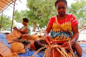 voices-from-the-canopy-indigenous-women-of-papua-demand-sovereignty-amidst-land-crisis