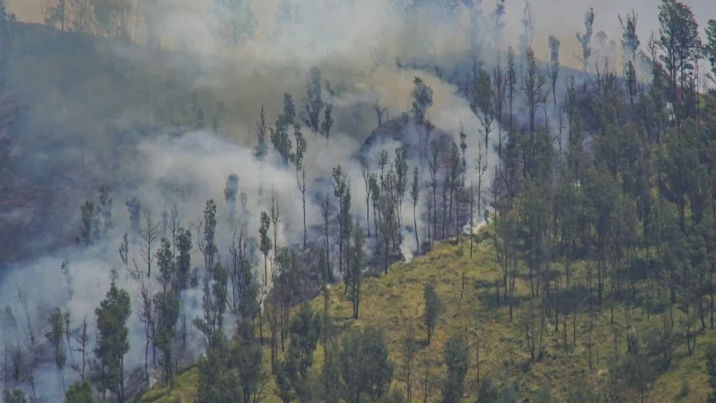 wildfires-rage-across-bromo-tengger-semeru-national-park-jemplang-access-closed-as-10-hotspots-erupt