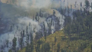 wildfires-rage-across-bromo-tengger-semeru-national-park-jemplang-access-closed-as-10-hotspots-erupt