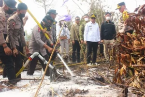 beyond-the-smoke-why-high-level-rhetoric-fails-to-quell-indonesias-perennial-forest-fires