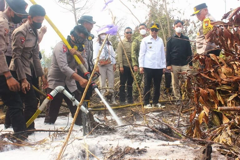 beyond-the-smoke-why-high-level-rhetoric-fails-to-quell-indonesias-perennial-forest-fires
