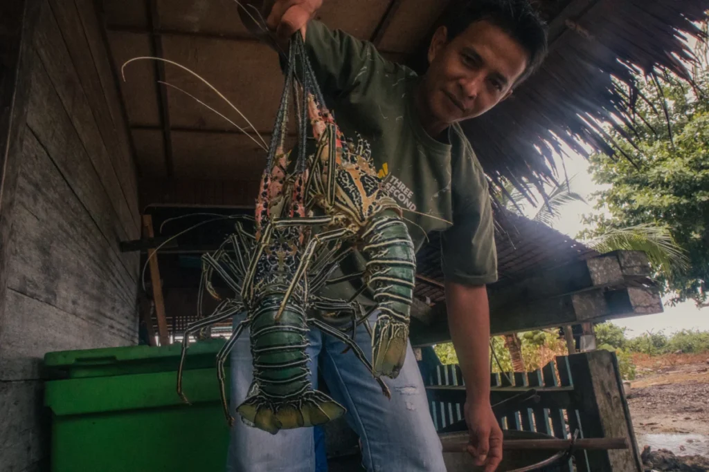 the-ice-crisis-how-cold-chain-failures-stifle-mentawais-fisheries-potential